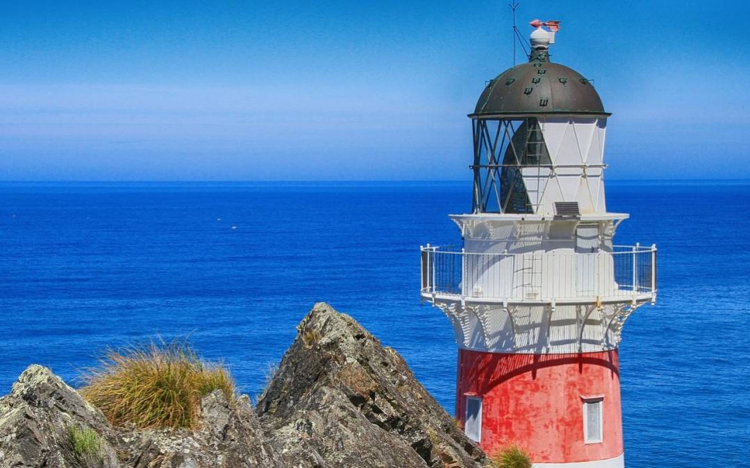 Application Requirements & Documents – New Zealand