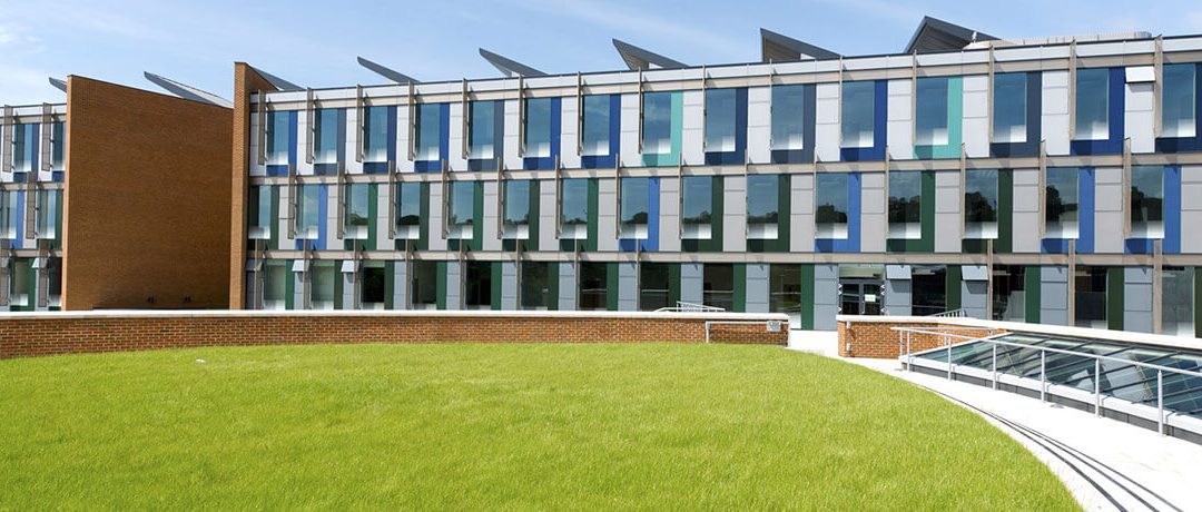 University of Sussex UK