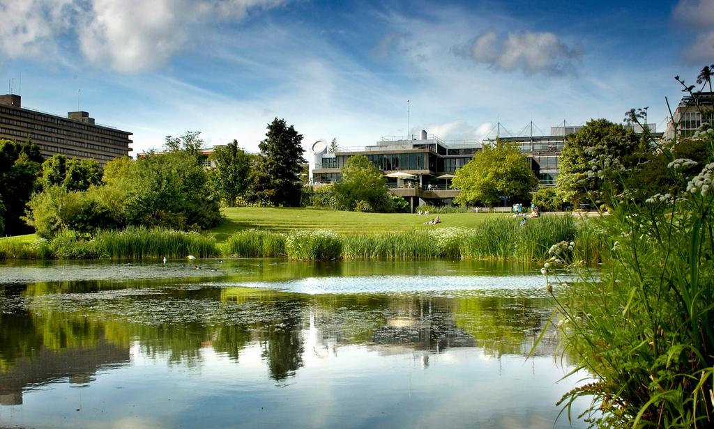 University of Bath